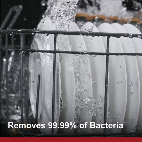 VersaWash™ 2-in-1 In-Sink Produce Cleaner and Dishwasher | SD1F-S1